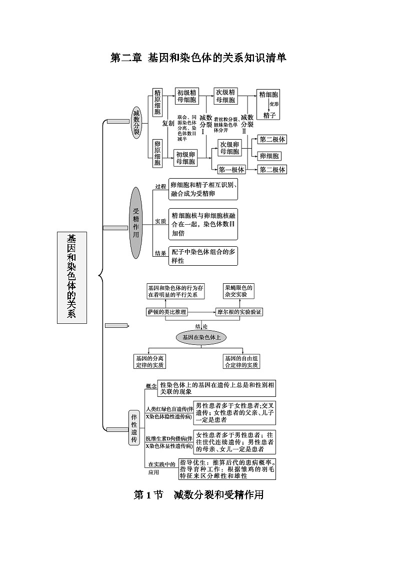 【期中复习】人教版2019必修2023-2024学年高一下册生物 第2章 基因与染色体的关系（知识点梳理）第1页