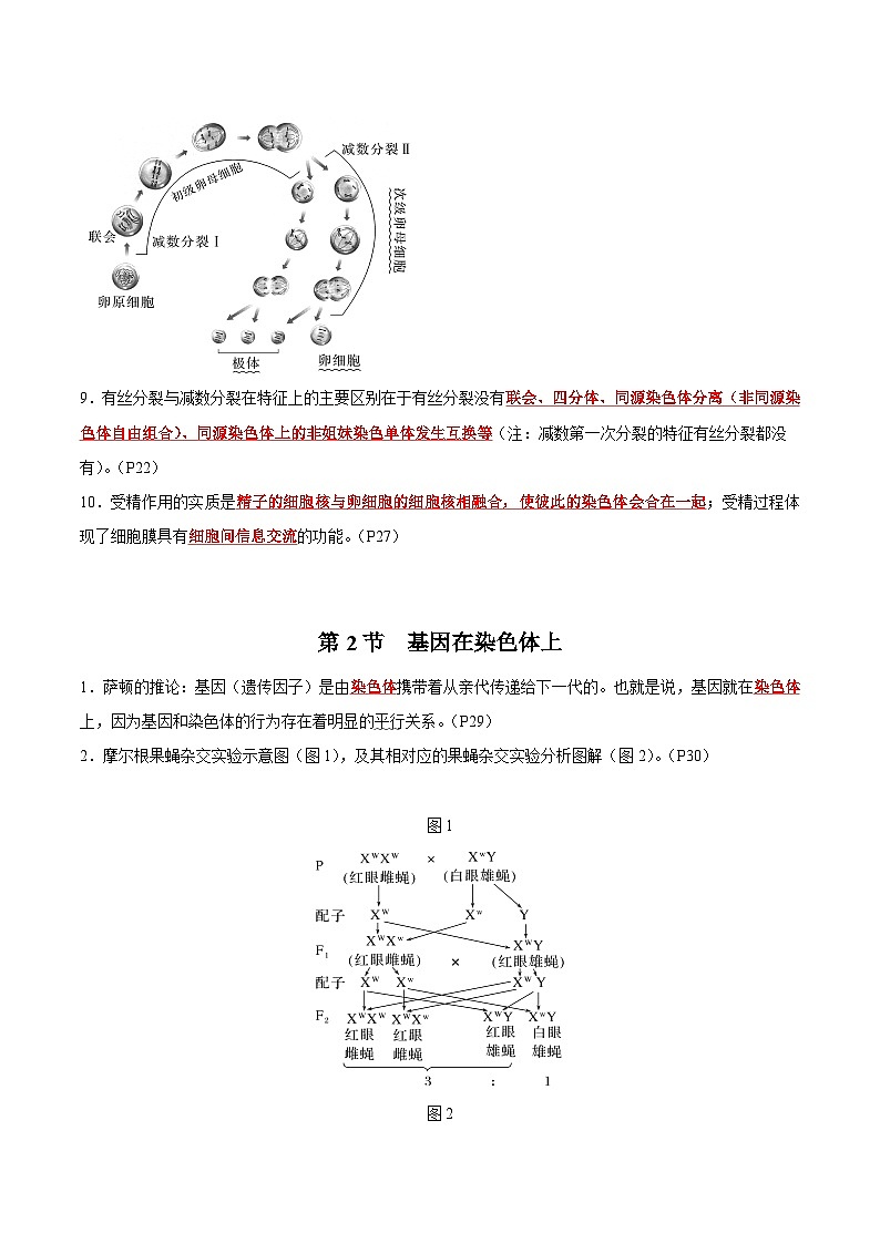 【期中复习】人教版2019必修2023-2024学年高一下册生物 第2章 基因与染色体的关系（知识点梳理）第3页