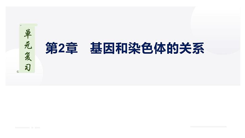 【期中复习】人教版2019必修2023-2024学年高一下册生物 第2章 基因和染色体的关系（考点复习）第1页