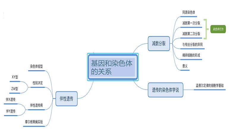 【期中复习】人教版2019必修2023-2024学年高一下册生物 第2章 基因和染色体的关系（考点复习）第2页