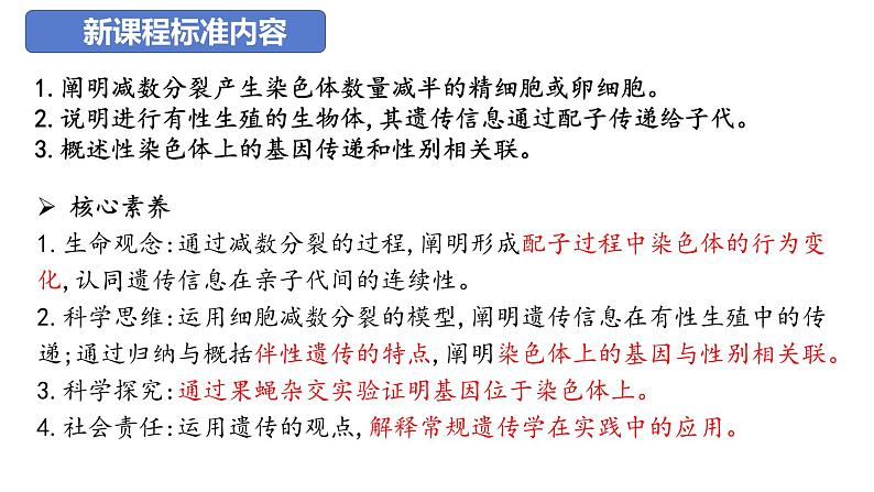 【期中复习】人教版2019必修2023-2024学年高一下册生物 第2章 基因和染色体的关系（考点复习）第3页