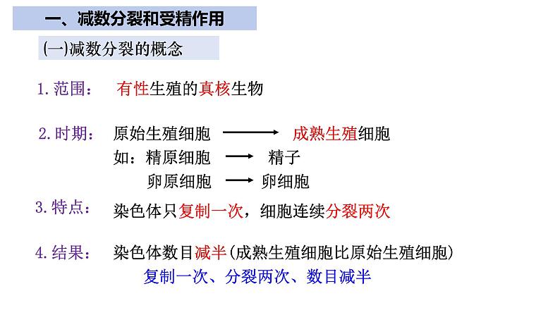 【期中复习】人教版2019必修2023-2024学年高一下册生物 第2章 基因和染色体的关系（考点复习）第6页