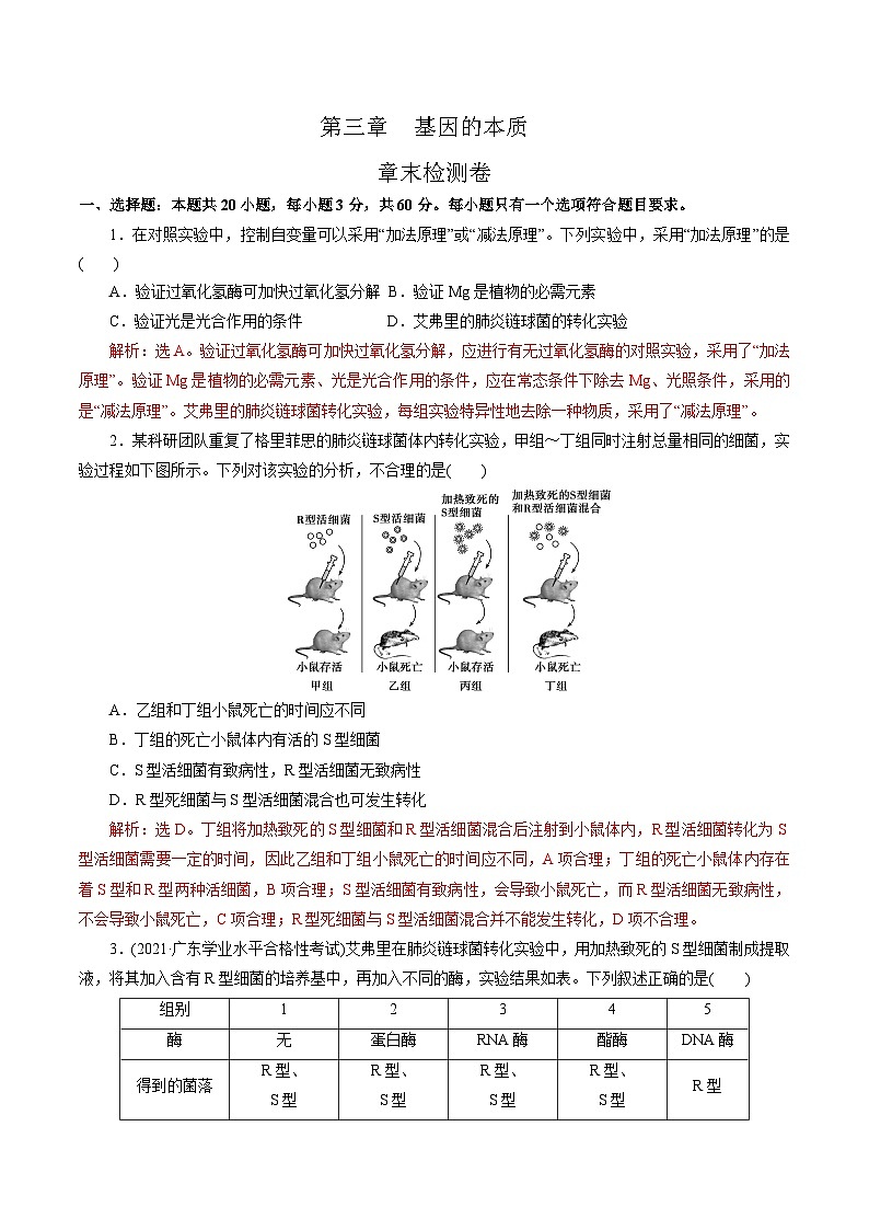 【期中复习】人教版2019必修2023-2024学年高一下册生物 第3章 基因的本质（考点专练）（解析版）第1页