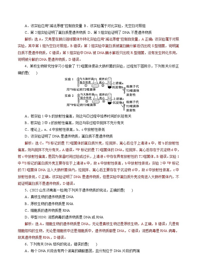 【期中复习】人教版2019必修2023-2024学年高一下册生物 第3章 基因的本质（考点专练）（解析版）第2页