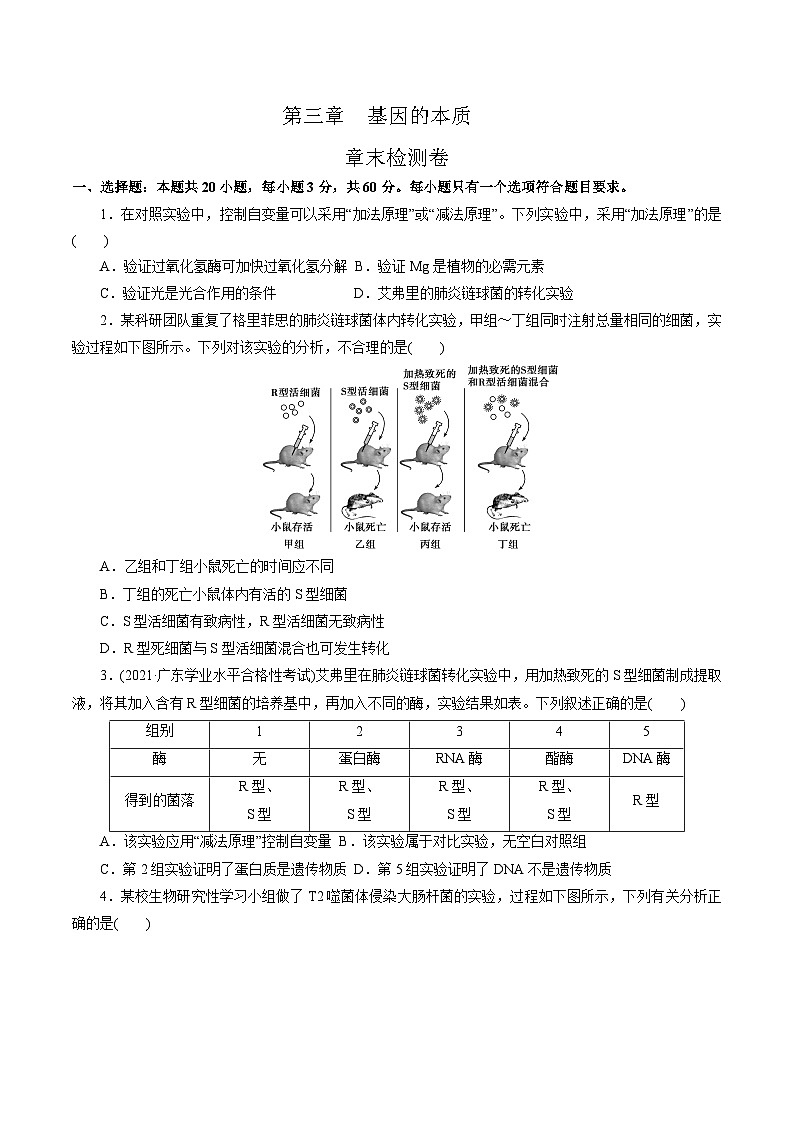 【期中复习】人教版2019必修2023-2024学年高一下册生物 第3章 基因的本质（考点专练）（原卷版）第1页