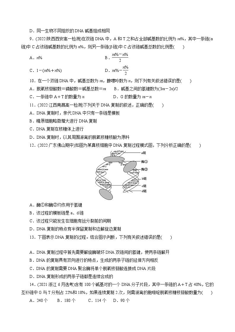 【期中复习】人教版2019必修2023-2024学年高一下册生物 第3章 基因的本质（考点专练）（原卷版）第3页
