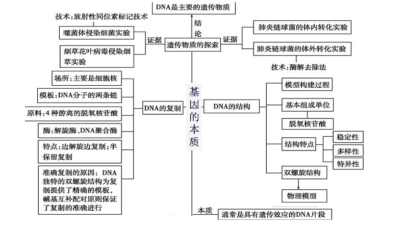 【期中复习】人教版2019必修2023-2024学年高一下册生物 第3章 基因的本质（考点复习）第2页