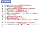 【期中复习】人教版2019必修2023-2024学年高一下册生物 第3章 基因的本质（考点复习）