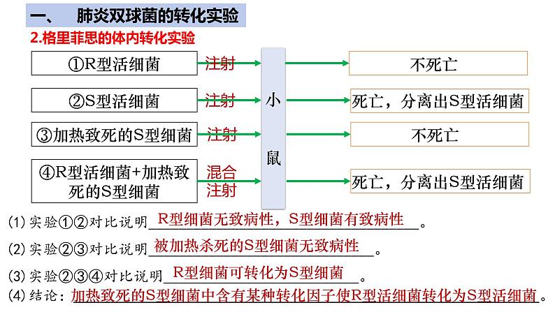 【期中复习】人教版2019必修2023-2024学年高一下册生物 第3章 基因的本质（考点复习）第7页