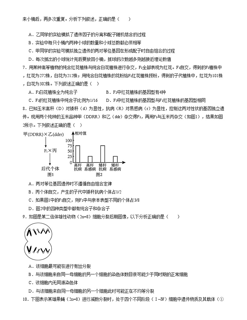 【期中模拟】人教版2019必修2023-2024学年高一下册生物 期中冲刺卷01.zip02
