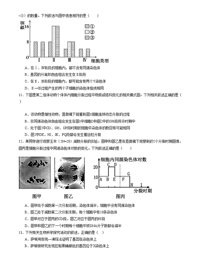 【期中模拟】人教版2019必修2023-2024学年高一下册生物 期中冲刺卷01.zip03