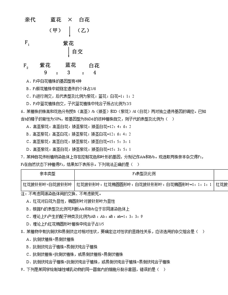 【期中模拟】人教版2019必修2023-2024学年高一下册生物 期中模拟卷02（原卷版）第2页