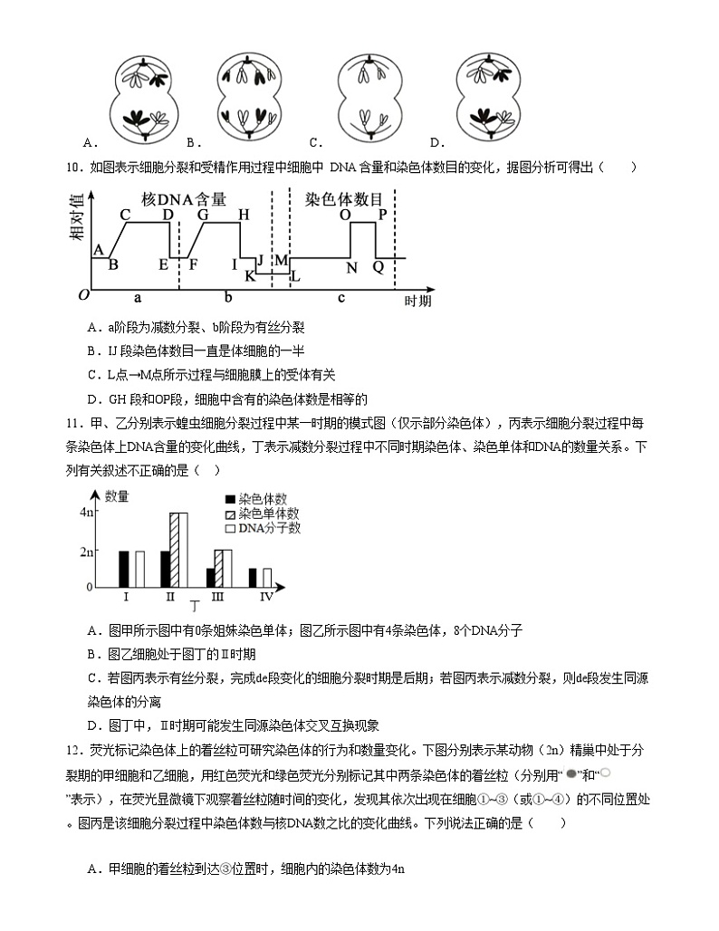 【期中模拟】人教版2019必修2023-2024学年高一下册生物 期中模拟卷02（原卷版）第3页