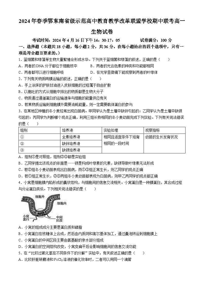 湖北省鄂东南省级示范高中教育教学改革联盟学校2023-2024学年高一下学期期中联考生物试卷第1页