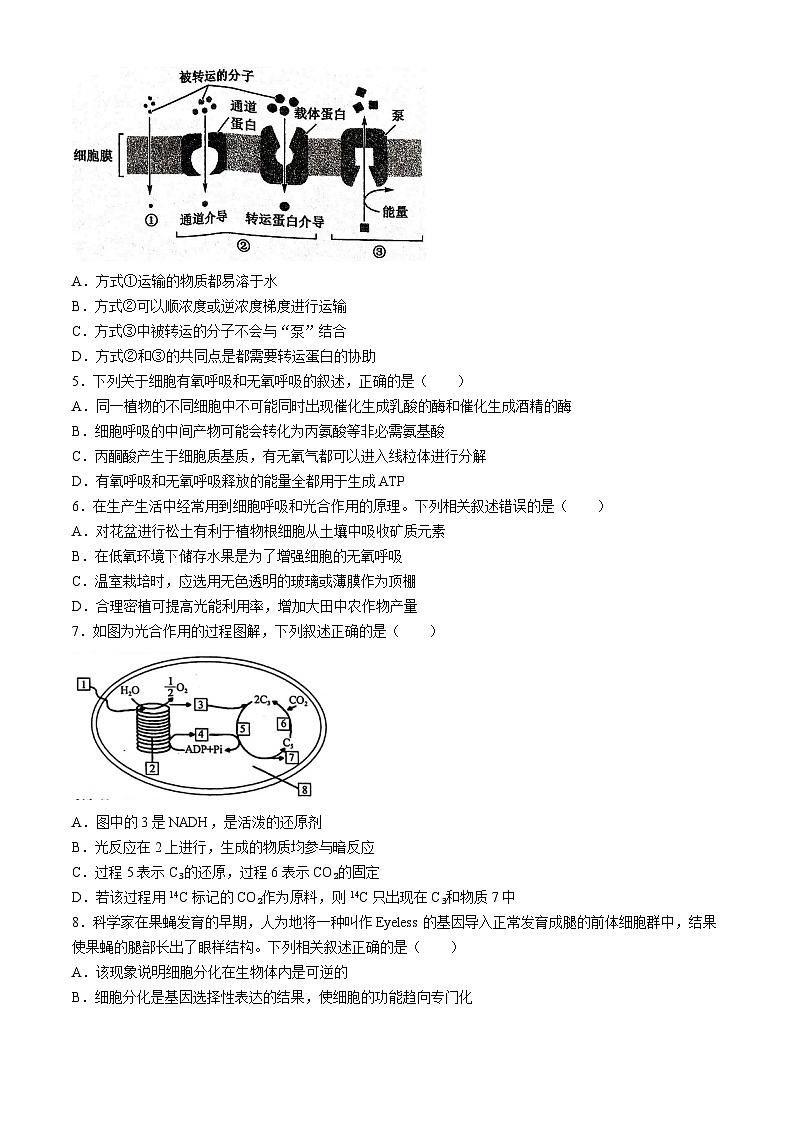 辽宁省朝阳市建平县第二高级中学2023+2024学年高一下学期4月月考生物试题02