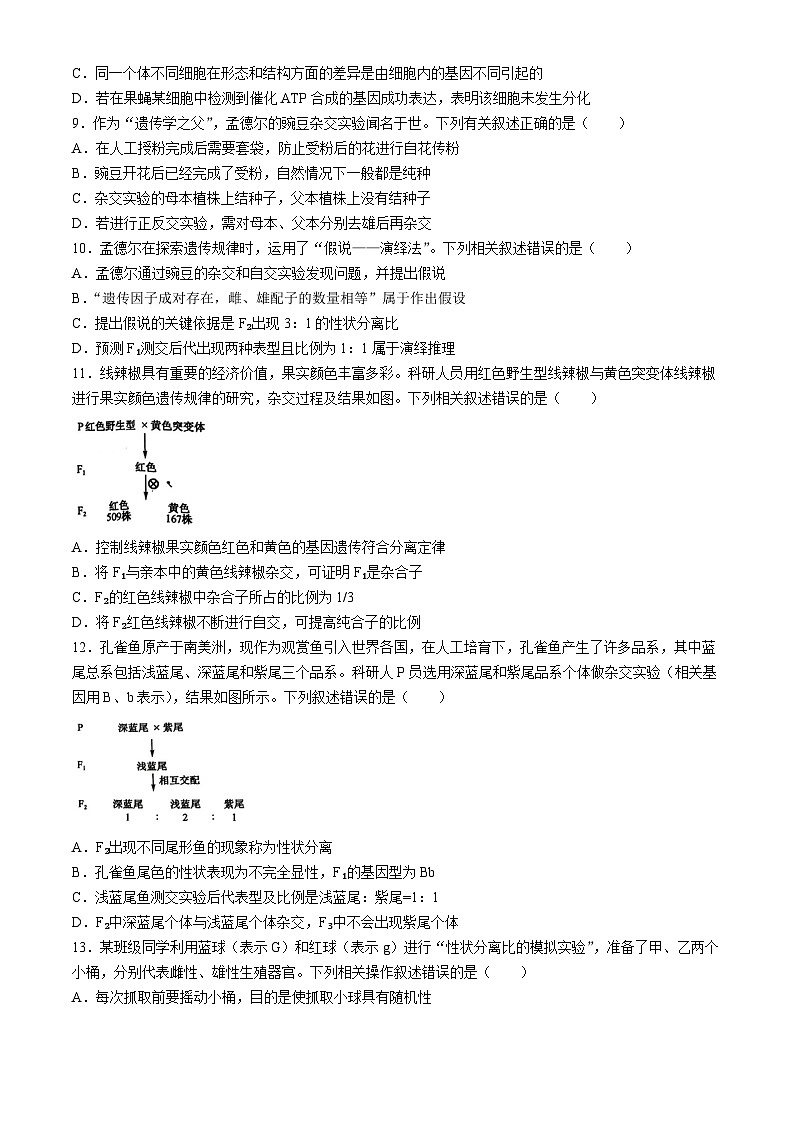 辽宁省朝阳市建平县第二高级中学2023+2024学年高一下学期4月月考生物试题03
