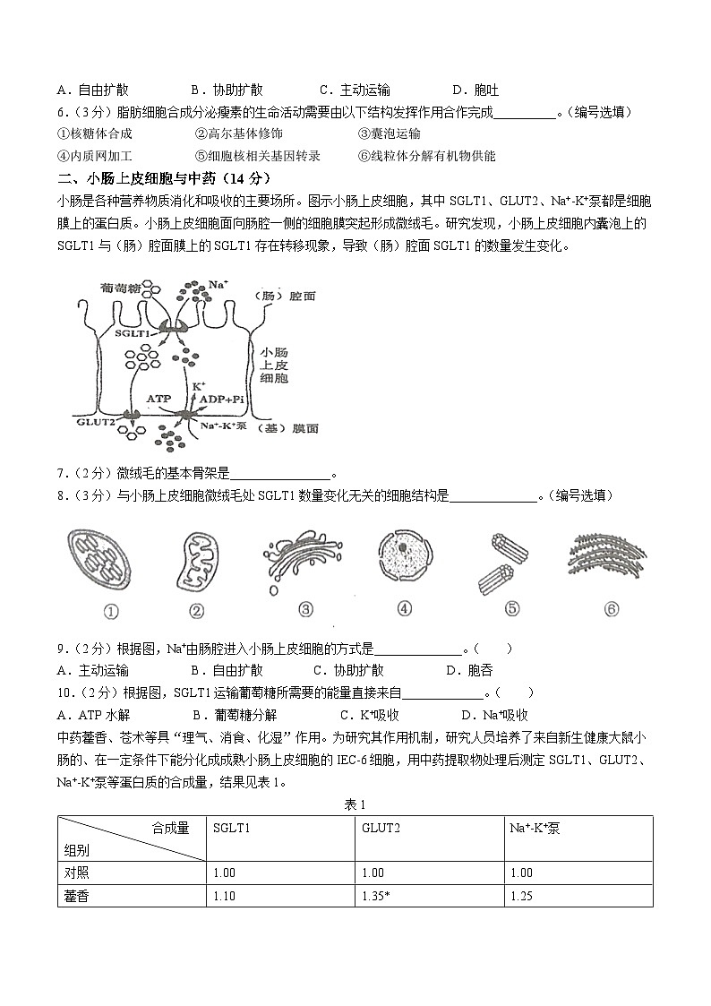 上海市浦东新区建平中学2023-2024学年高一下学期4月期中考试生物试题(无答案)02