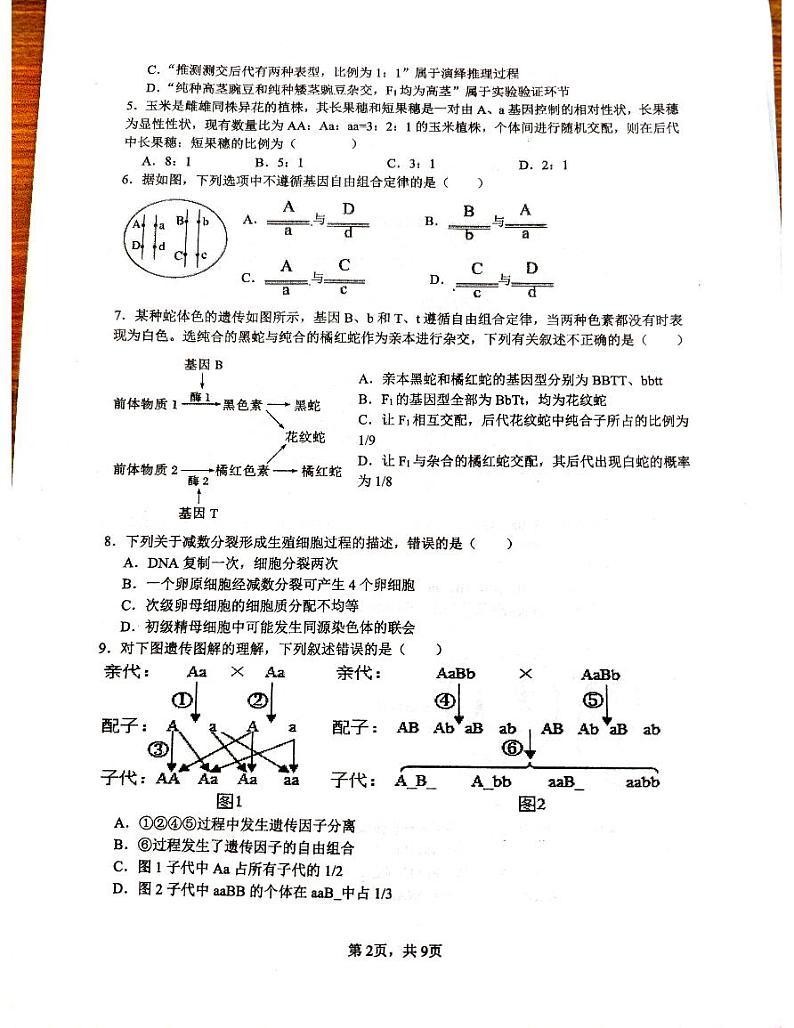 云南省红河哈尼族彝族自治州蒙自市第一中学2023-2024学年高一下学期4月月考生物试题02