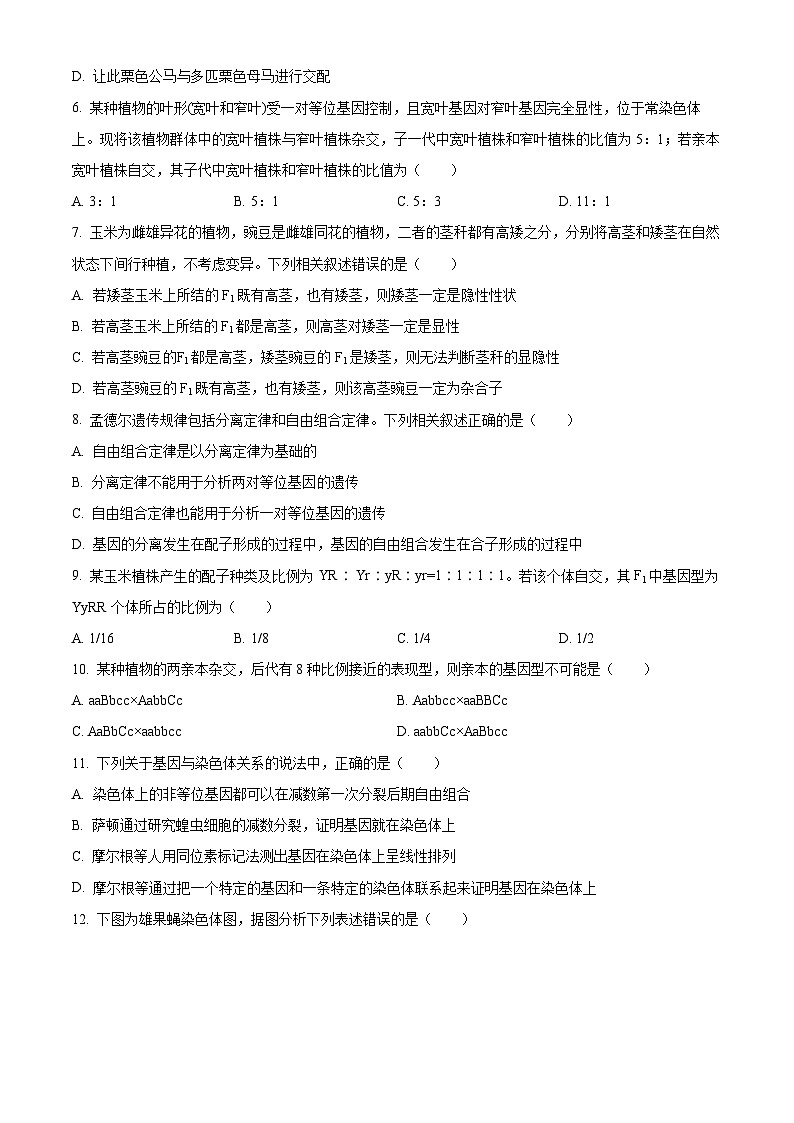 黑龙江省牡丹江市第一高级中学2023-2024学年高一下学期4月月考生物试卷（Word版附解析）02