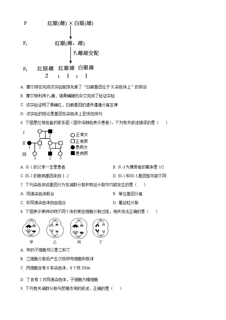 辽宁省沈阳市第二中学2023-2024学年高一下学期第一次月考生物试卷（Word版附解析）02