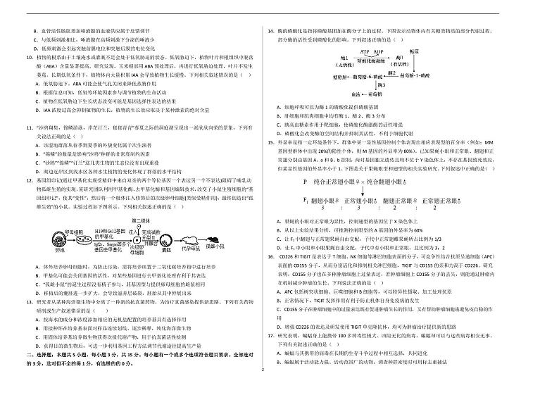 2024年高考第二次模拟考试：生物（河北卷）（考试版A3）第2页