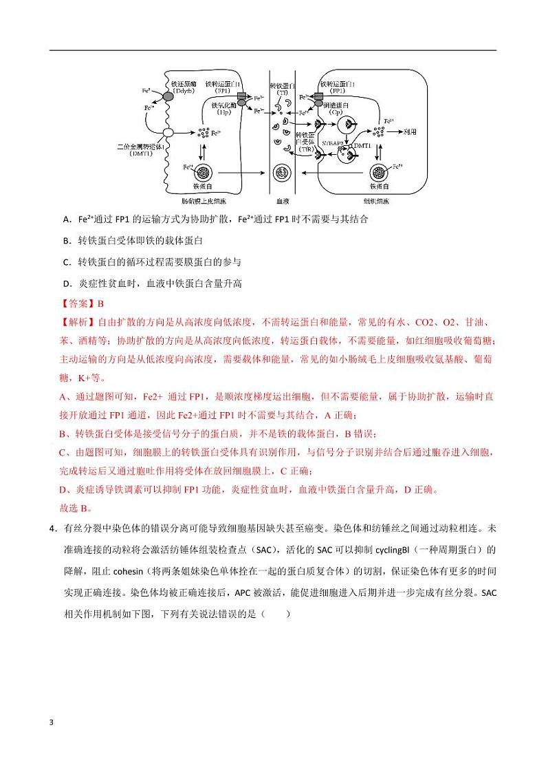 2024年高考第二次模拟考试：生物（浙江卷）（解析版）第3页