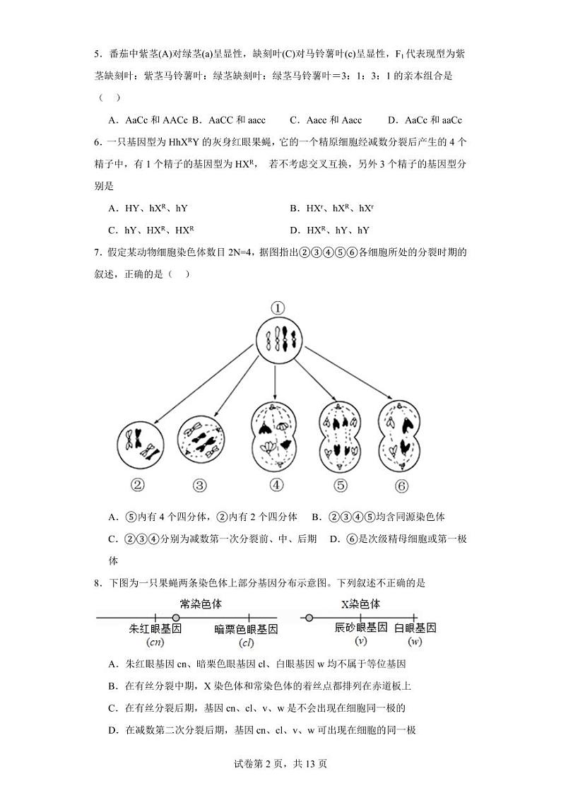 【高一生物】2023北京八中下学期期中试卷及答案第2页