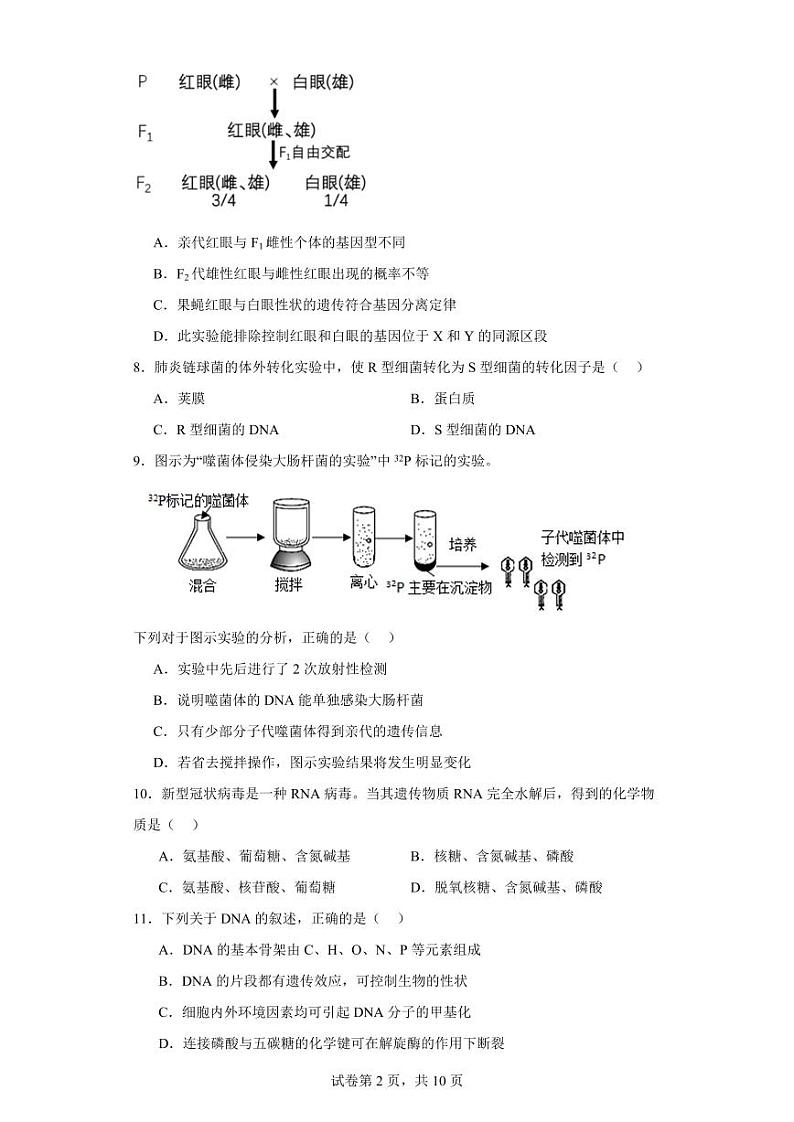 【高一生物】2023北京大兴区下学期期中试卷及答案02