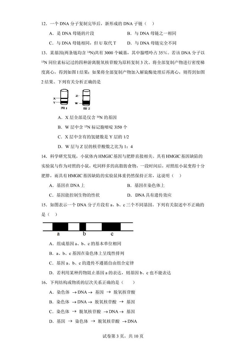 【高一生物】2023北京大兴区下学期期中试卷及答案03