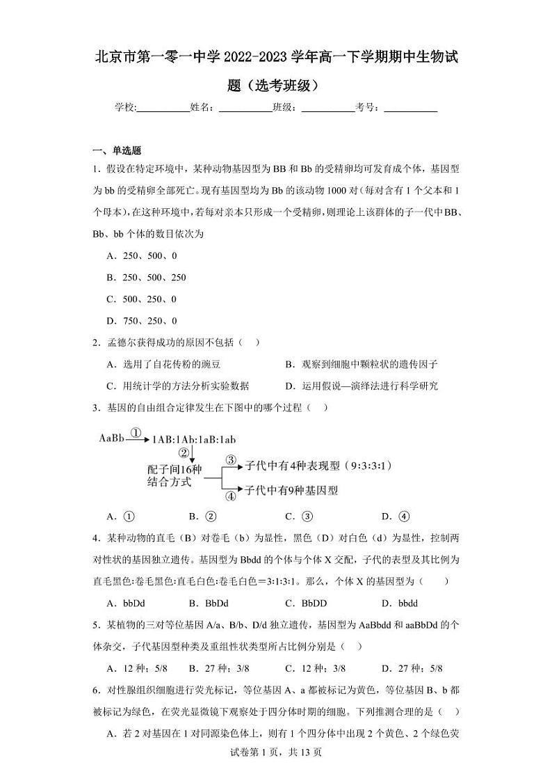 【高一生物】2023北京一零一中学下学期期中试卷及答案（选考班级）01