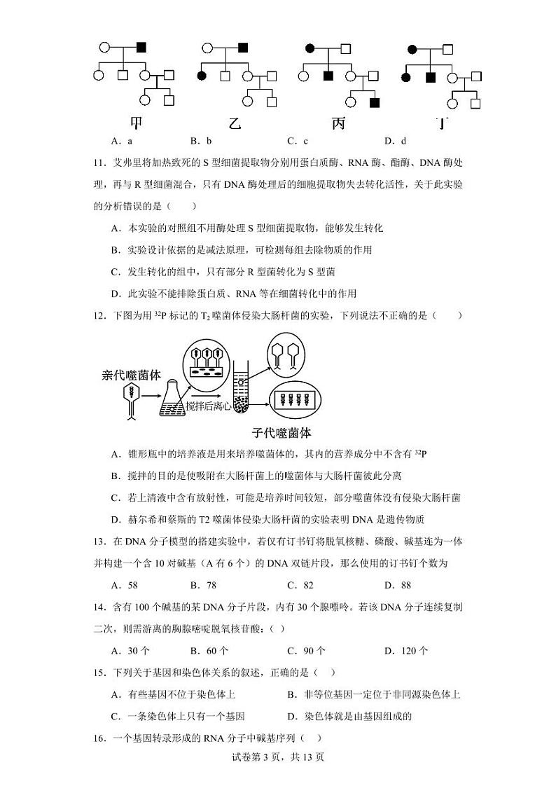 【高一生物】2023北京一零一中学下学期期中试卷及答案（选考班级）03
