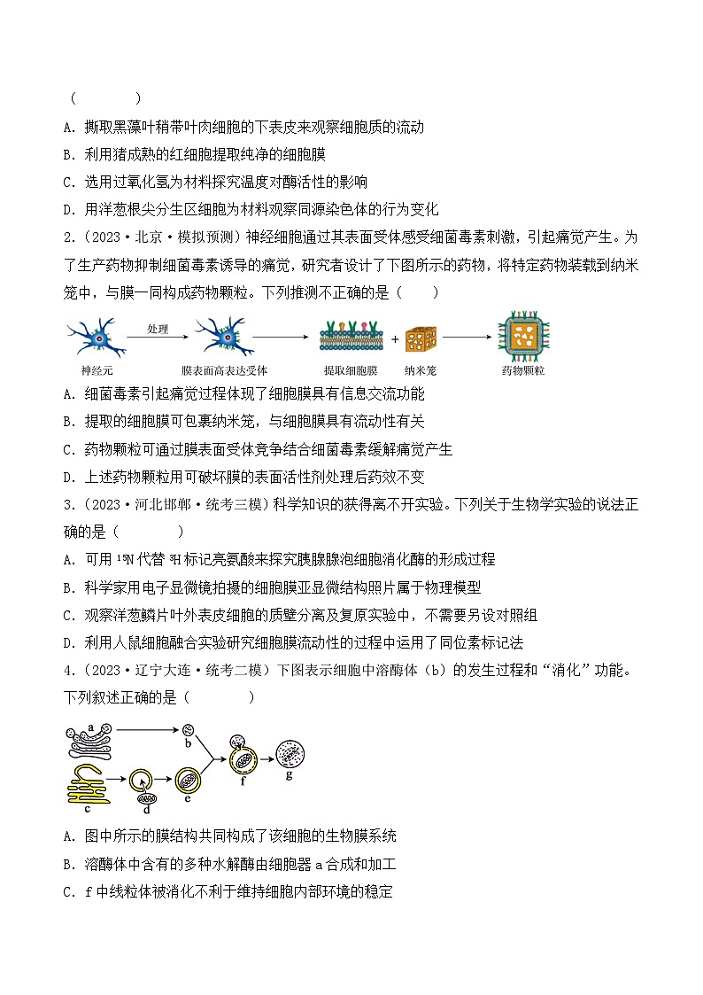 专题02 细胞的基本结构和物质运输-备战2024年高考生物一轮复习重难点突破讲解与训练（新教材）02