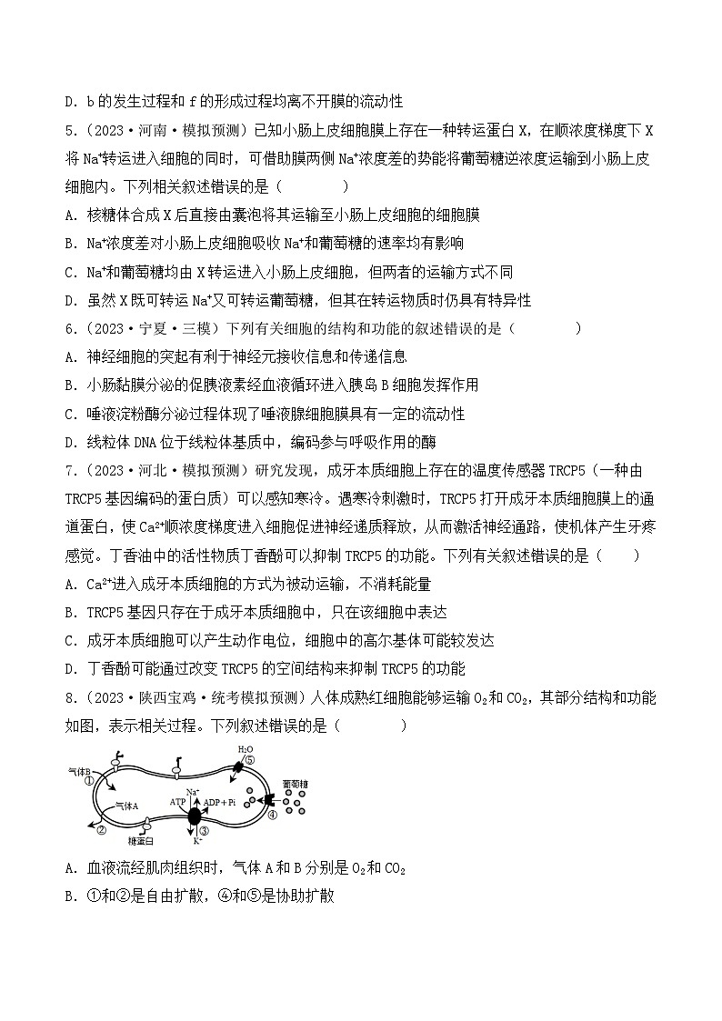 专题02 细胞的基本结构和物质运输-备战2024年高考生物一轮复习重难点突破讲解与训练（新教材）03