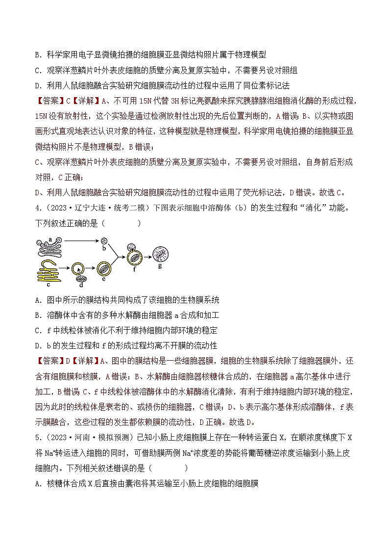 专题02 细胞的基本结构和物质运输-备战2024年高考生物一轮复习重难点突破讲解与训练（新教材）03