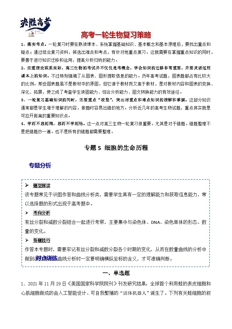 专题05 细胞的生命历程（包括减数分裂）（原卷版）第1页