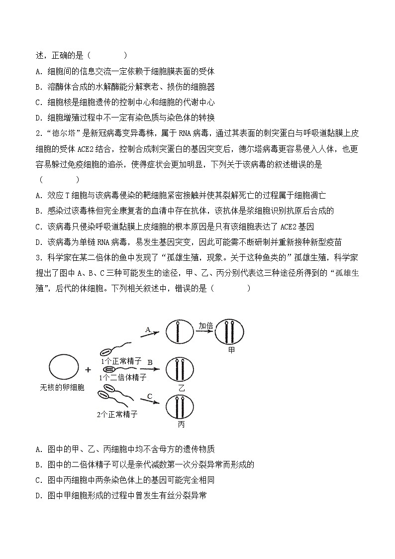 专题05 细胞的生命历程（包括减数分裂）（原卷版）第2页