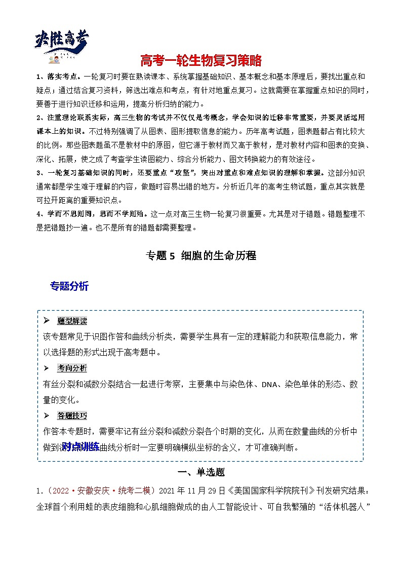 专题05 细胞的生命历程（包括减数分裂）（解析版）第1页