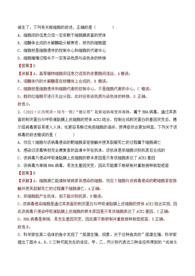 专题05 细胞的生命历程（包括减数分裂）（解析版）第2页