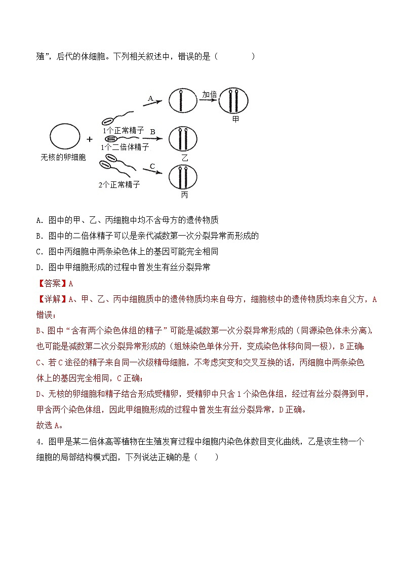 专题05 细胞的生命历程（包括减数分裂）（解析版）第3页