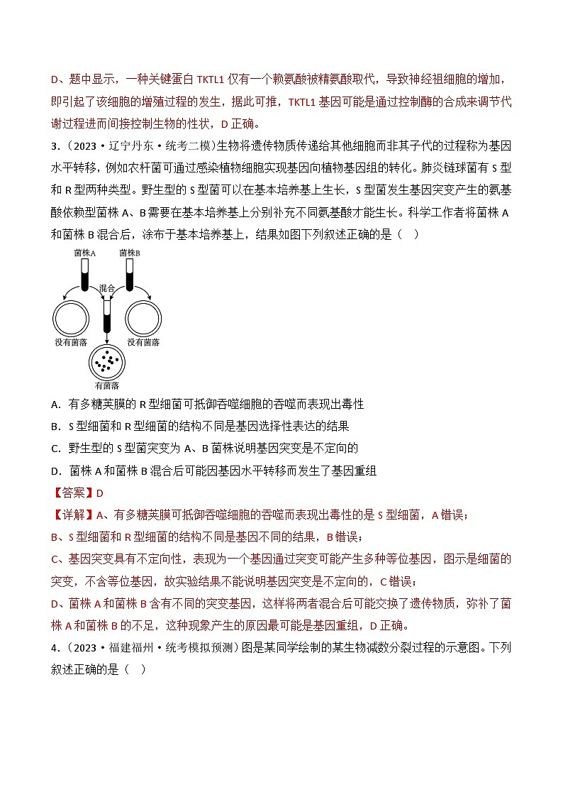 专题09 生物的变异、进化与育种-备战2024年高考生物一轮复习重难点突破讲解与训练（新教材）03