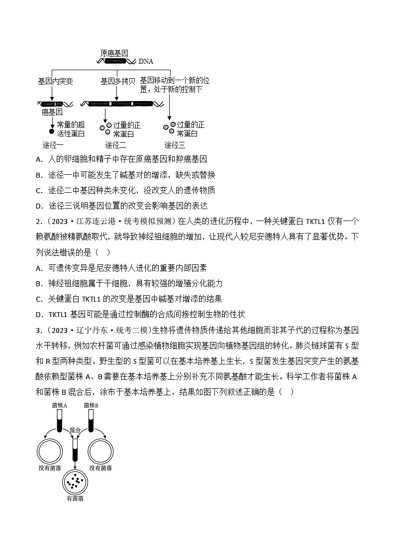 专题09 生物的变异、进化与育种-备战2024年高考生物一轮复习重难点突破讲解与训练（新教材）02