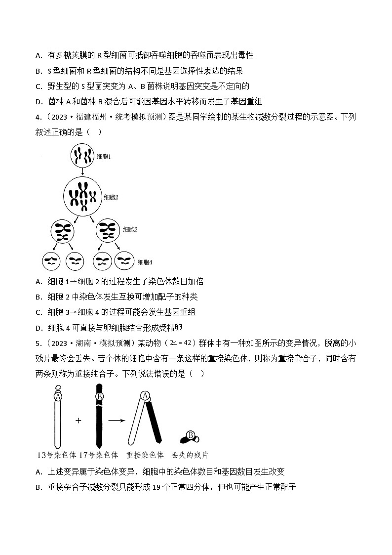 专题09 生物的变异、进化与育种-备战2024年高考生物一轮复习重难点突破讲解与训练（新教材）03