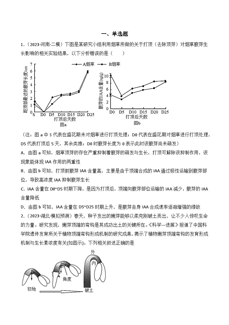 专题12 植物的激素调节-备战2024年高考生物一轮复习重难点突破讲解与训练（新教材）02