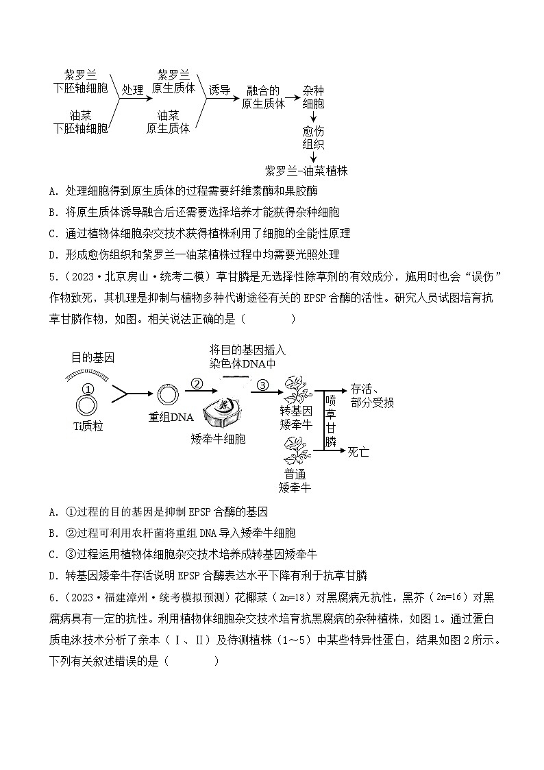 专题16 植物细胞工程-备战2024年高考生物一轮复习重难点突破讲解与训练（新教材）03