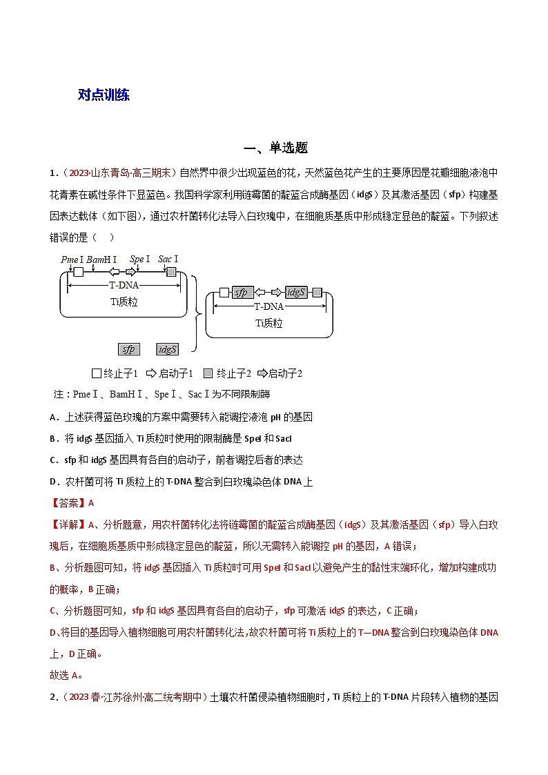 专题18 基因工程-备战2024年高考生物一轮复习重难点突破讲解与训练（新教材）02