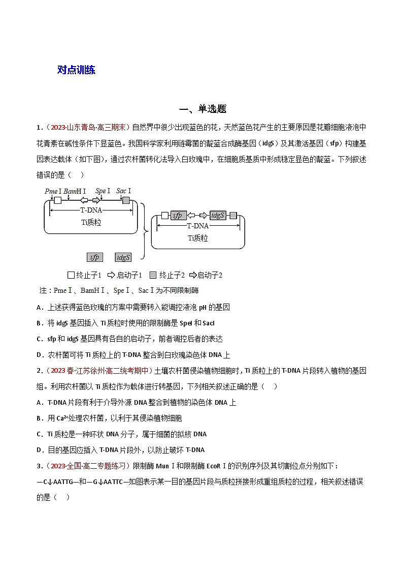 专题18 基因工程-备战2024年高考生物一轮复习重难点突破讲解与训练（新教材）02