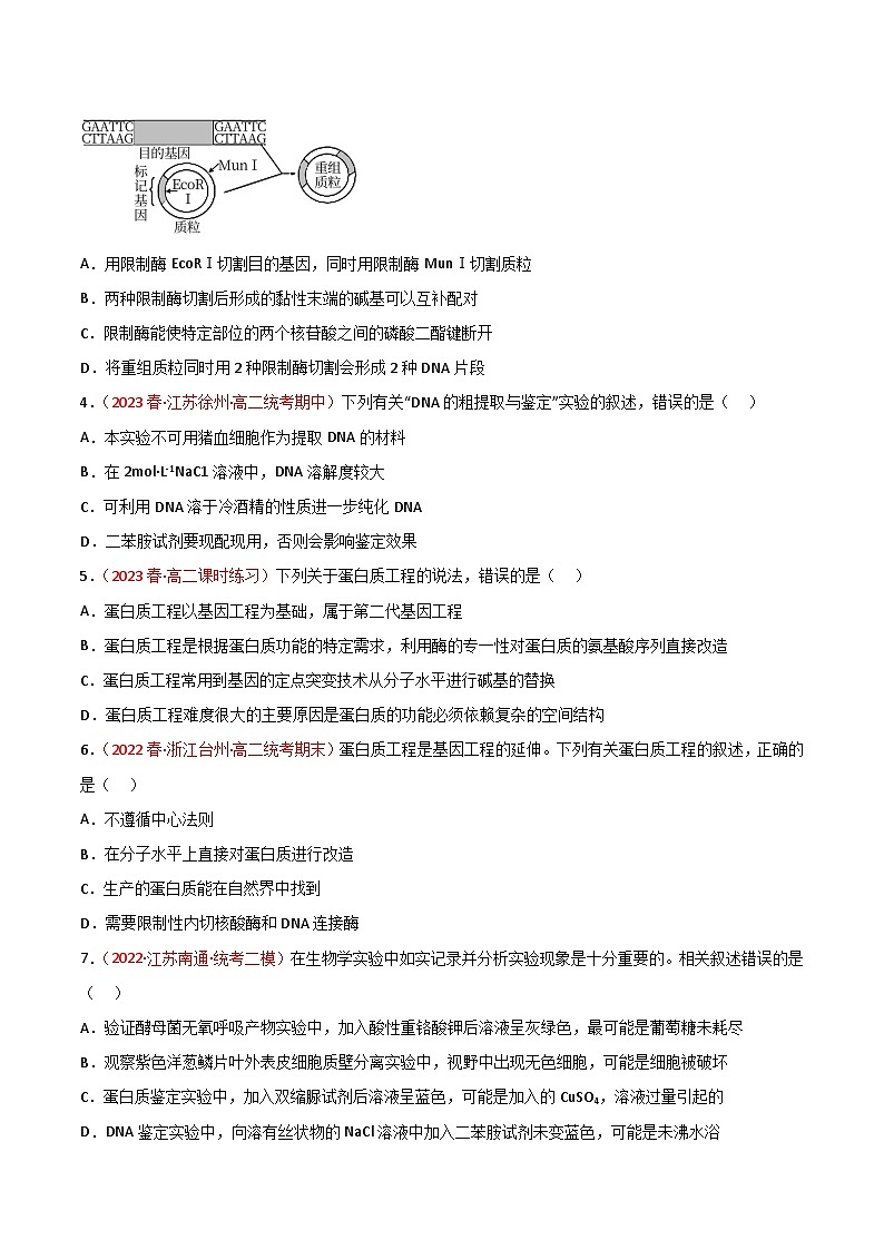 专题18 基因工程-备战2024年高考生物一轮复习重难点突破讲解与训练（新教材）03