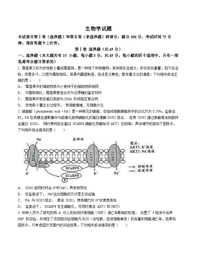 2024安徽省A10联盟高三下学期4月二模试题生物含解析第1页