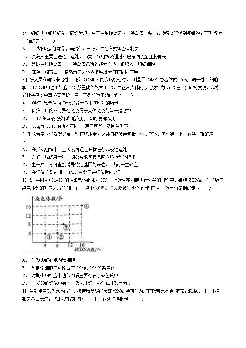 2024安徽省A10联盟高三下学期4月二模试题生物含解析第3页