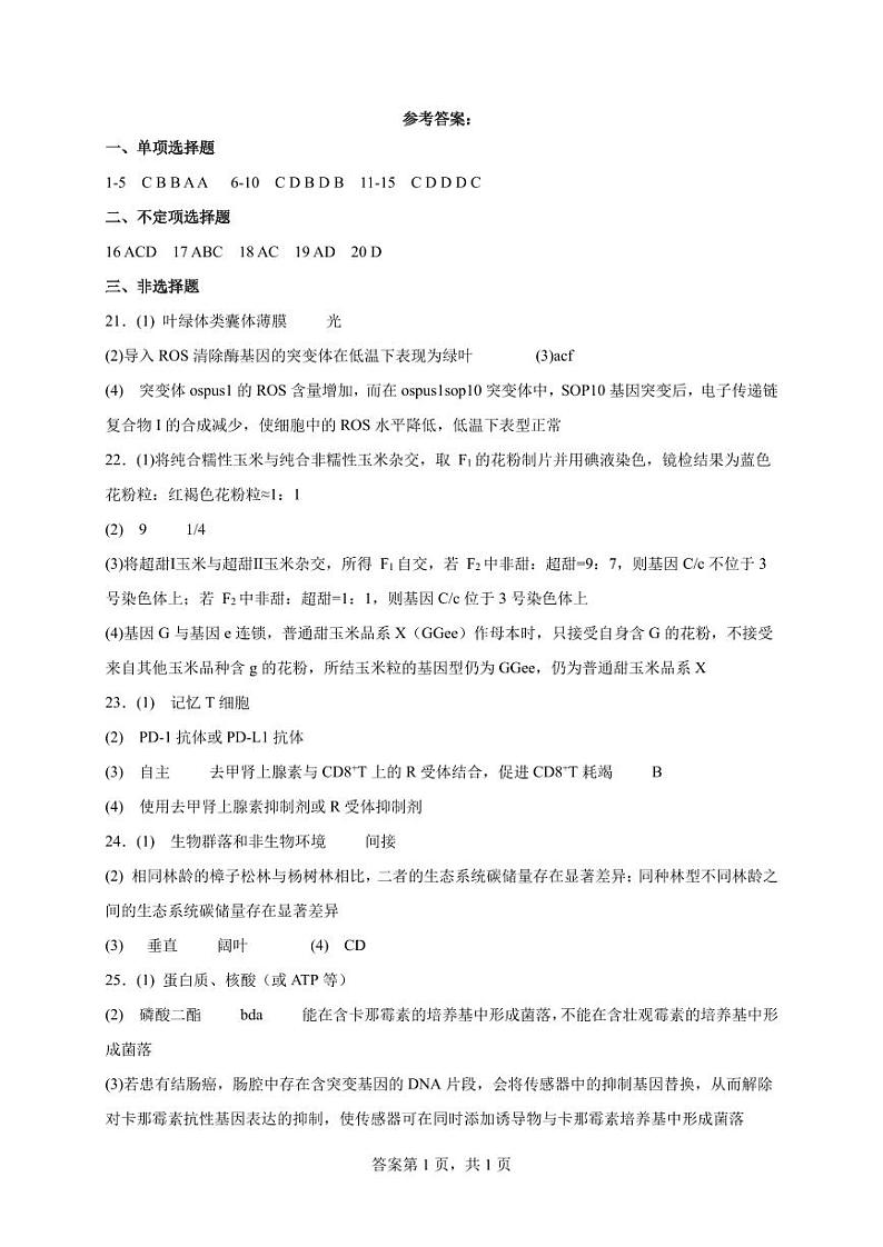2024济宁一中高三下学期4月定时检测试题生物含答案01